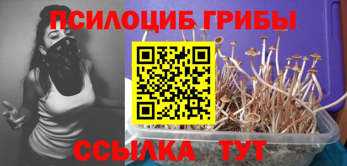 Галлюциногенные грибы GOLDEN TEACHER  Вход с VPN  цена   Сегежа  Псилоцибиновые грибы GOLDEN TEACHER 